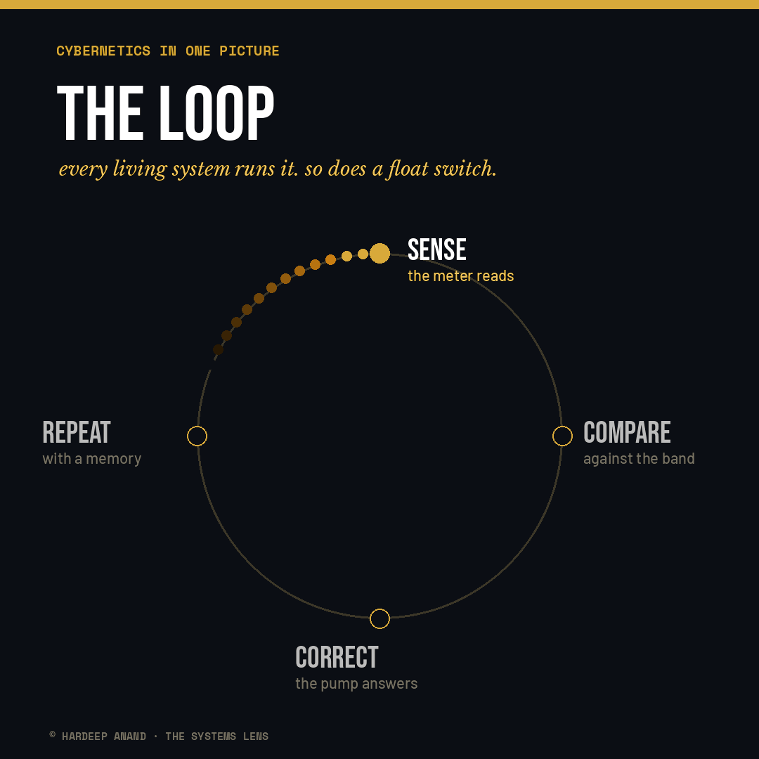 This is what managing by curve looks like: not a number frozen in time, but a system talking back to you in real time.