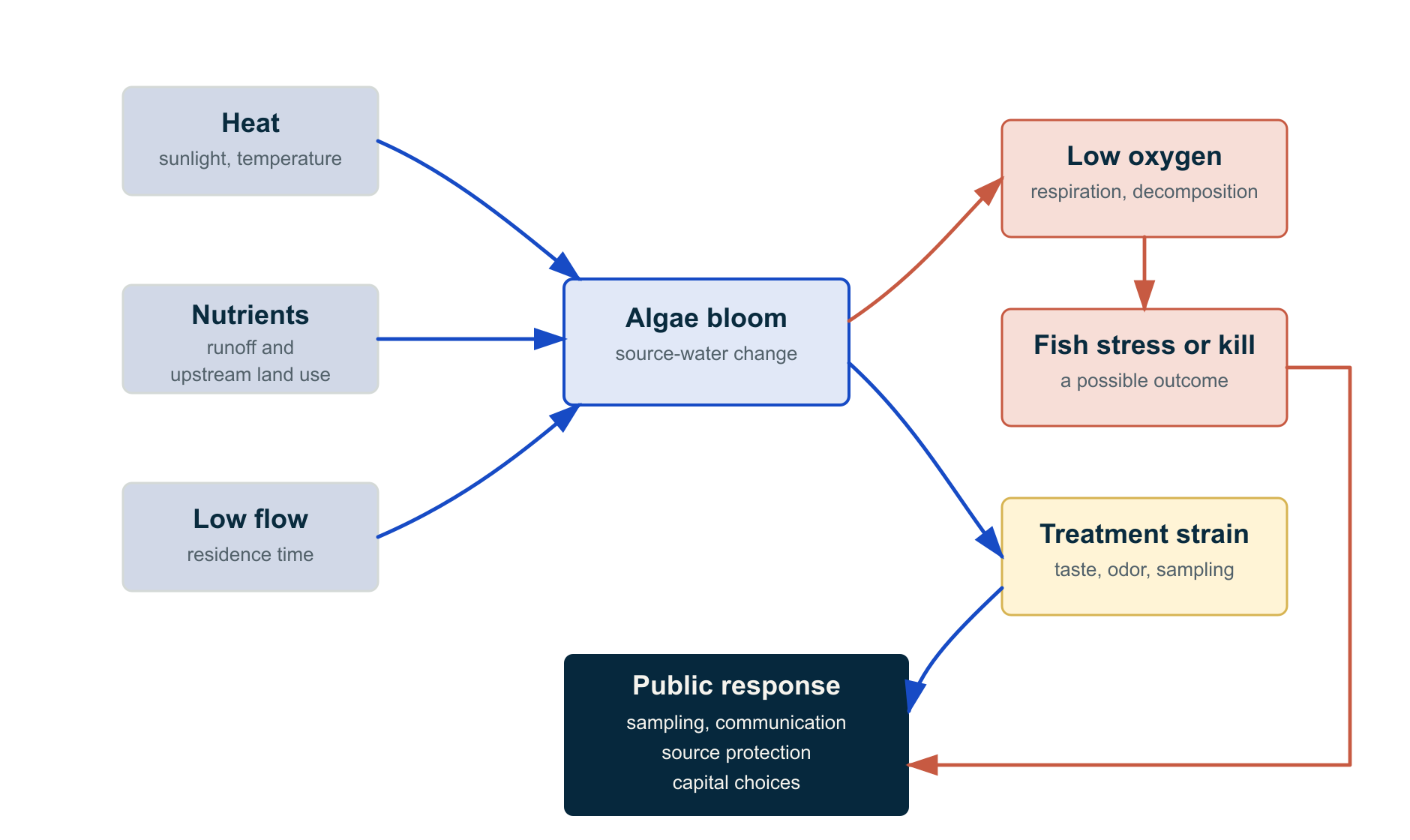 A fish kill can be the visible end of a longer chain
